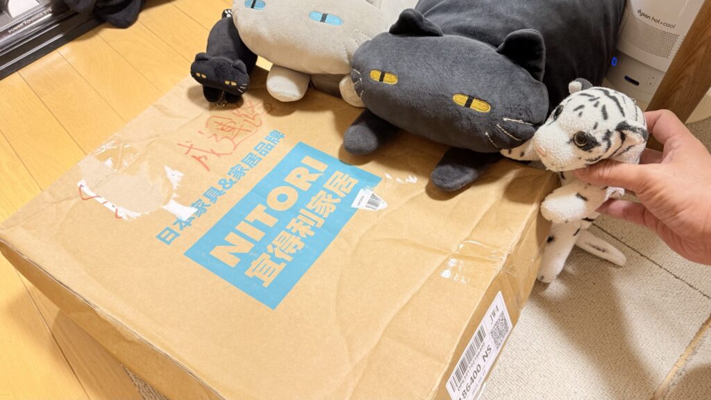 荷物を見るトラとネコ
