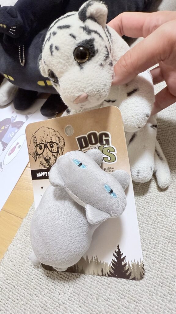 グレーデコネコのチビ