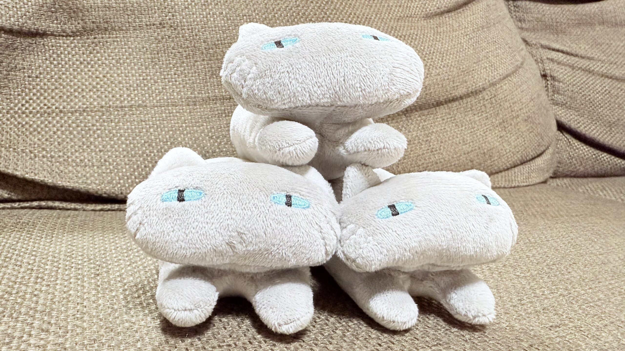 グレーのチビデコネコ3匹